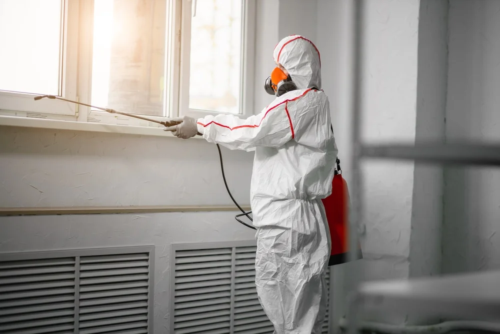 Professional mold remediation services in Enterprise, UT